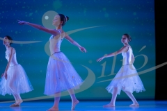 20044