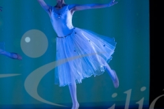 20056