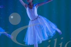 20058