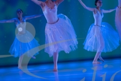 20073